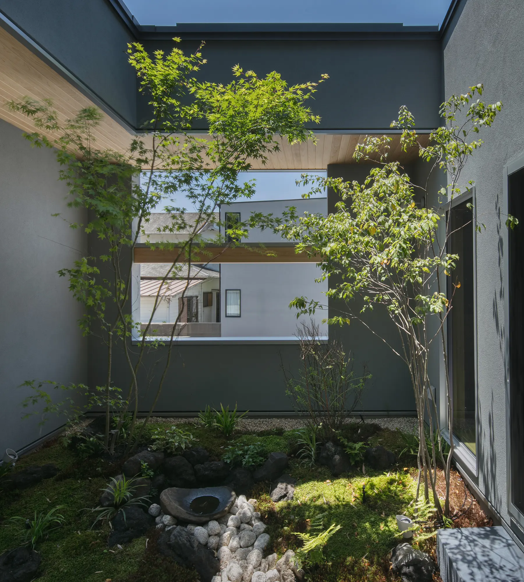 メインビジュアル画像